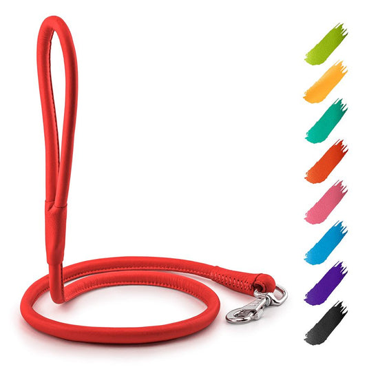 WAUDOG Rolled Leather Dog Leash